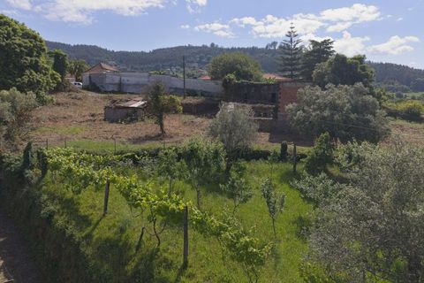 Farm i Ponte de Lima, Viana do Castelo, Ponte de Lima - € 270.000 | Ref: TC188 - foto 28