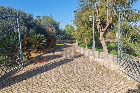 Farm i Paderne, Faro, Paderne - € 1.850.000 | Ref: 4491 - foto 12