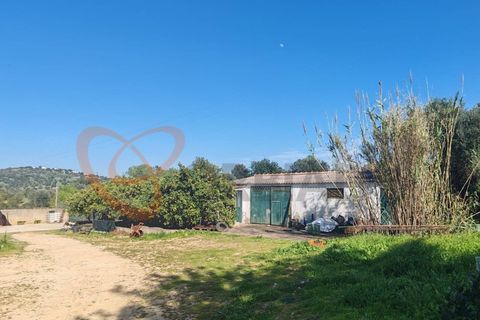 Farm i Paderne, Faro, Paderne - € 1.850.000 | Ref: 4491 - foto 23