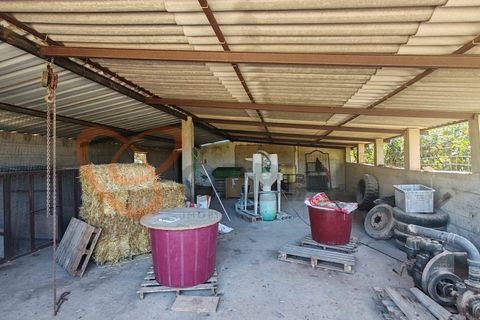 Farm i Paderne, Faro, Paderne - € 1.850.000 | Ref: 4491 - foto 49
