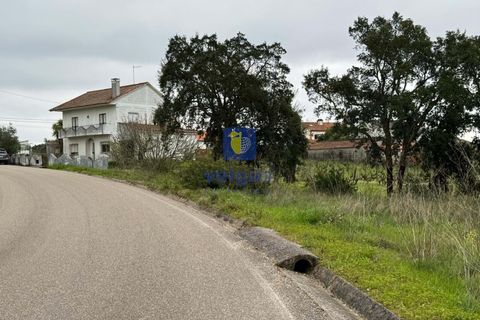 Villa i Tomar, Santarem, Tomar - € 320.000 | Ref: CAL-217090 - foto 2