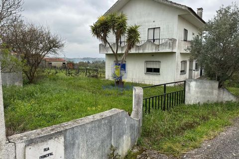 Villa i Tomar, Santarem, Tomar - € 320.000 | Ref: CAL-217090 - foto 3