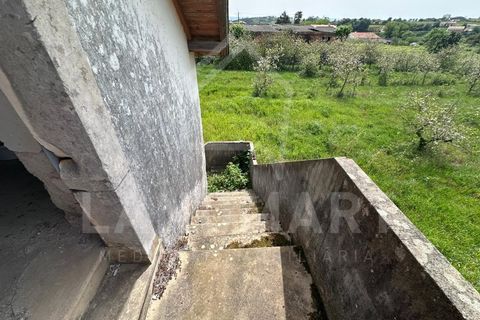 Farm i Alcobaca, Leiria, Alcobaca - € 225.000 | Ref: QTA1640 - foto 7