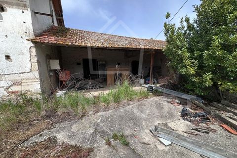 Farm i Alcobaca, Leiria, Alcobaca - € 225.000 | Ref: QTA1640 - foto 10