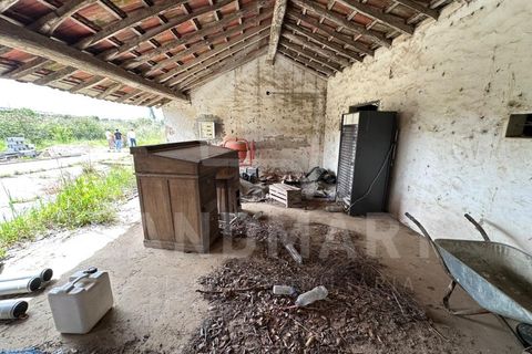 Farm i Alcobaca, Leiria, Alcobaca - € 225.000 | Ref: QTA1640 - foto 11