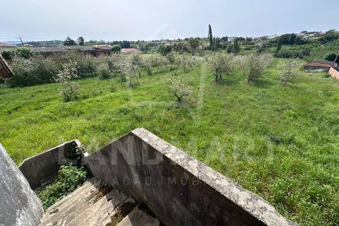 Farm i Alcobaca, Leiria, Alcobaca - € 225.000 | Ref: QTA1640 - foto 13