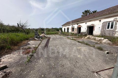 Farm i Alcobaca, Leiria, Alcobaca - € 225.000 | Ref: QTA1640 - foto 18