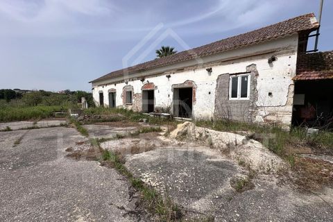Farm i Alcobaca, Leiria, Alcobaca - € 225.000 | Ref: QTA1640 - foto 19