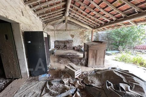 Farm i Alcobaca, Leiria, Alcobaca - € 225.000 | Ref: QTA1640 - foto 20