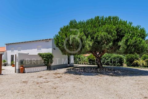 Villa a Santo Onofre e Serra do Bouro, Leiria, Santo Onofre e Serra do Bouro - € 1.350.000 | Ref: M0461.ML.LX - foto 3