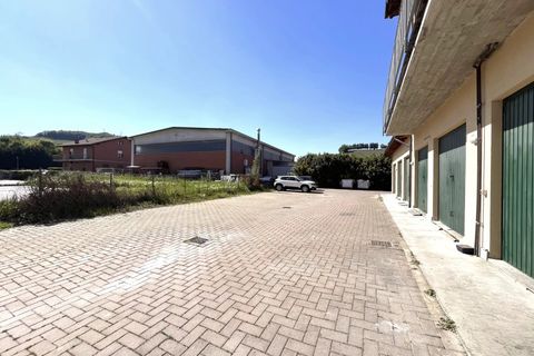Leilighet i Neive, Cuneo, Neive - € 160 000 | Ref: 86997165 - foto 7