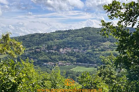 Landejendom i Melazzo, Alessandria, Melazzo - € 139.000 | Ref: 86999222 - foto 32