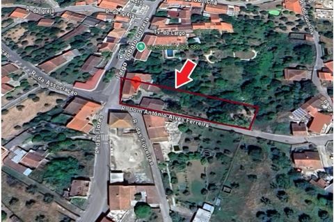 Villa a Sardoal, Santarem, Sardoal - € 330.000 | Ref: KWPT-032556 - foto 11