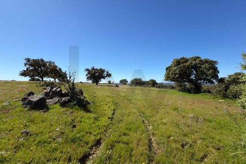 Helårsgrund i Alcacovas, Evora, Alcacovas - € 250.000 | Ref: KWPT-032230 - foto 2