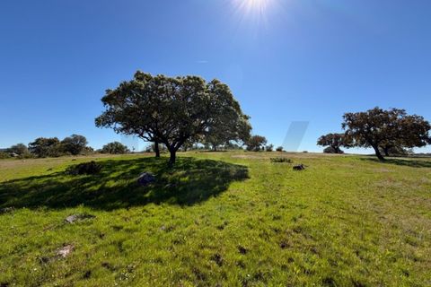 Helårsgrund i Alcacovas, Evora, Alcacovas - € 250.000 | Ref: KWPT-032230 - foto 3