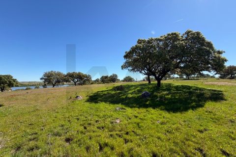 Helårsgrund i Alcacovas, Evora, Alcacovas - € 250.000 | Ref: KWPT-032230 - foto 4