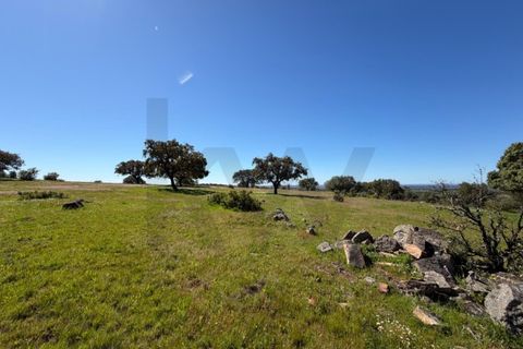 Helårsgrund i Alcacovas, Evora, Alcacovas - € 250.000 | Ref: KWPT-032230 - foto 5