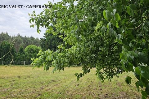 Villa a Mimizan, Landes, Mimizan - € 389.000 | Ref: 340939335535 - foto 15