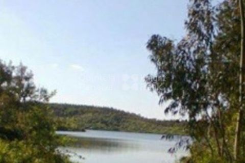 Landejendom i Ermidas do Sado, Setubal, Ermidas do Sado - € 3.750.000 | Ref: PROP-33124 - foto 3