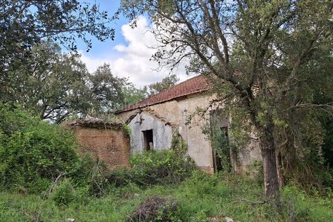 Landejendom i Ermidas do Sado, Setubal, Ermidas do Sado - € 3.750.000 | Ref: PROP-33124 - foto 6