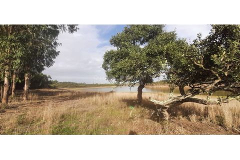 Landejendom i Ermidas do Sado, Setubal, Ermidas do Sado - € 3.750.000 | Ref: PROP-33124 - foto 9
