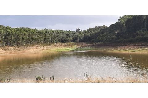 Landejendom i Ermidas do Sado, Setubal, Ermidas do Sado - € 3.750.000 | Ref: PROP-33124 - foto 11