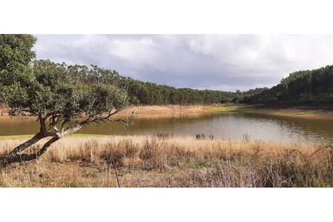 Landejendom i Ermidas do Sado, Setubal, Ermidas do Sado - € 3.750.000 | Ref: PROP-33124 - foto 13