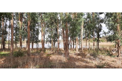 Landejendom i Ermidas do Sado, Setubal, Ermidas do Sado - € 3.750.000 | Ref: PROP-33124 - foto 15