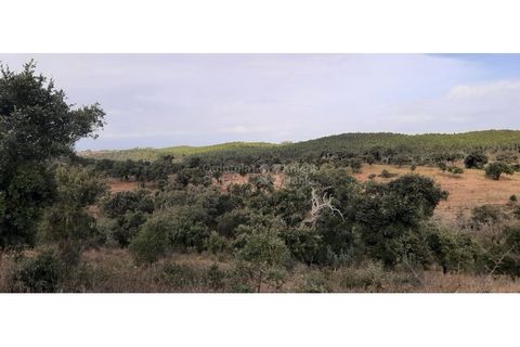 Landejendom i Ermidas do Sado, Setubal, Ermidas do Sado - € 3.750.000 | Ref: PROP-33124 - foto 20