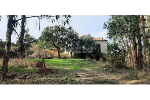 Landejendom i Ermidas do Sado, Setubal, Ermidas do Sado - € 3.750.000 | Ref: PROP-33124 - foto 27