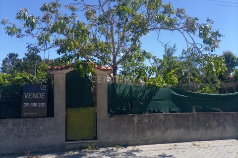 Helårsgrund i Quinta do Anjo, Setubal, Quinta do Anjo - € 180.000 | Ref: C0274-02006 - foto 8