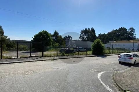 Erhvervsejendom i Valongo, Porto, Valongo - € 1.100.000 | Ref: ARM-00001 - foto 15