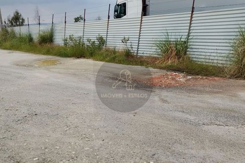Erhvervsejendom i Valongo, Porto, Valongo - € 1.100.000 | Ref: ARM-00001 - foto 17