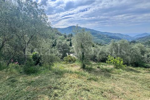 Helårsgrund i Perinaldo, Imperia, Perinaldo - € 55.000 | Ref: iv1338 - foto 3
