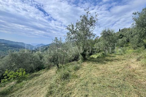 Helårsgrund i Perinaldo, Imperia, Perinaldo - € 55.000 | Ref: iv1338 - foto 4