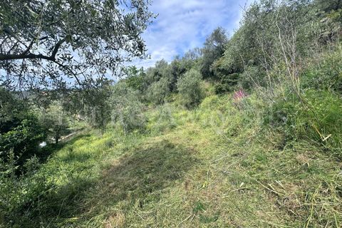Helårsgrund i Perinaldo, Imperia, Perinaldo - € 55.000 | Ref: iv1338 - foto 5