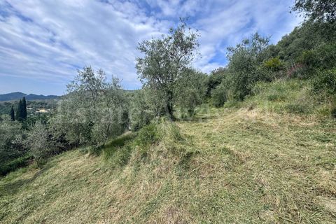 Helårsgrund i Perinaldo, Imperia, Perinaldo - € 55.000 | Ref: iv1338 - foto 7