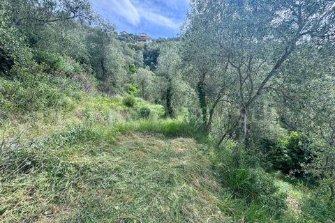 Helårsgrund i Perinaldo, Imperia, Perinaldo - € 55.000 | Ref: iv1338 - foto 8