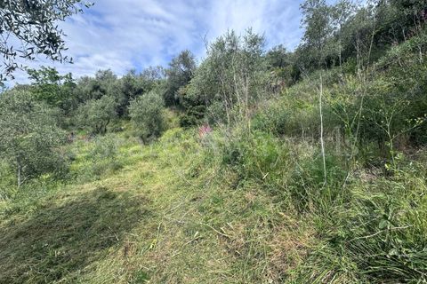 Helårsgrund i Perinaldo, Imperia, Perinaldo - € 55.000 | Ref: iv1338 - foto 11