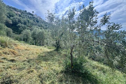 Helårsgrund i Perinaldo, Imperia, Perinaldo - € 55.000 | Ref: iv1338 - foto 12