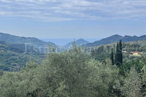 Helårsgrund i Perinaldo, Imperia, Perinaldo - € 55.000 | Ref: iv1338 - foto 15
