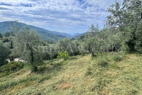 Helårsgrund i Perinaldo, Imperia, Perinaldo - € 55.000 | Ref: iv1338 - foto 16