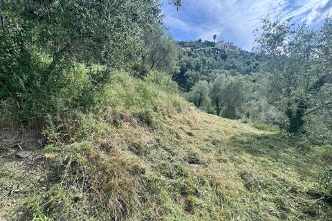 Helårsgrund i Perinaldo, Imperia, Perinaldo - € 55.000 | Ref: iv1338 - foto 17
