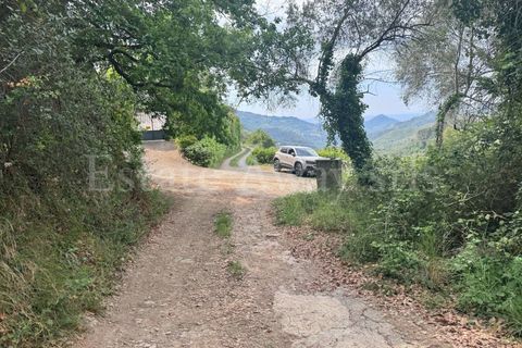 Helårsgrund i Perinaldo, Imperia, Perinaldo - € 55.000 | Ref: iv1338 - foto 19