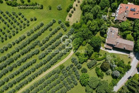 Villa a Cesena, Forli-Cesena, Cesena - € 1.200.000 | Ref: CBI099-1528-520853 - foto 3