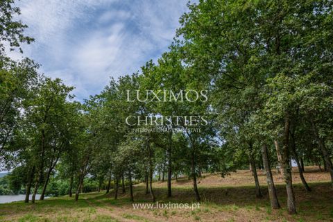 Helårsgrund i Barcelos, Braga, Barcelos - € 490.000 | Ref: LS04976 - foto 13