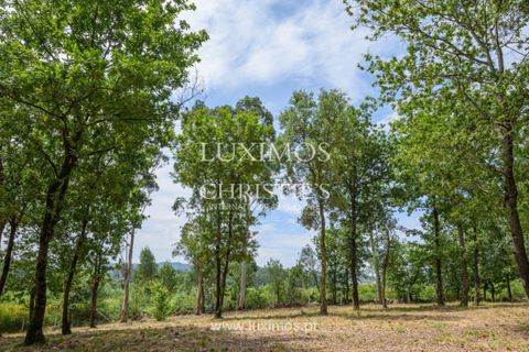 Helårsgrund i Barcelos, Braga, Barcelos - € 490.000 | Ref: LS04976 - foto 14