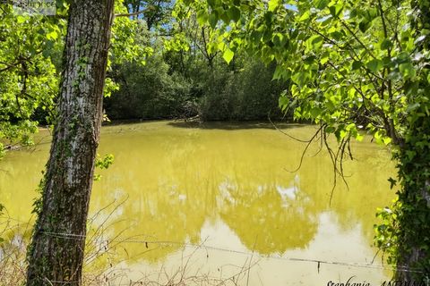 Villa a Ossages, Landes, Ossages - € 345.000 | Ref: 340935972714 - foto 27