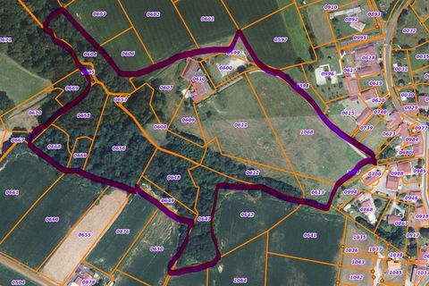 Villa a Ossages, Landes, Ossages - € 345.000 | Ref: 340935972714 - foto 30
