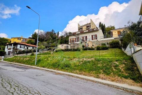 Terra a Campofilone, Fermo, Campofilone - € 85.000 | Ref: 1824 - foto 2